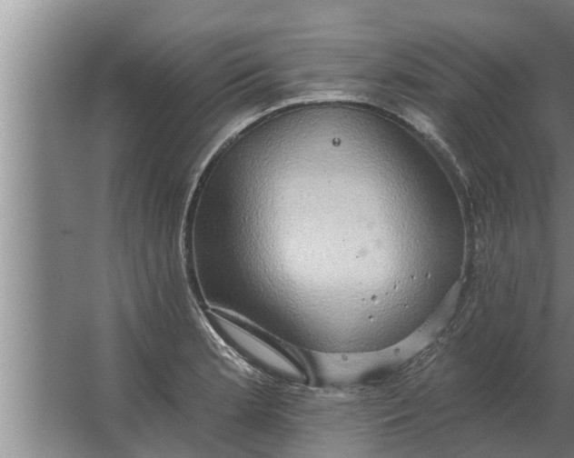 X0000063511181200602032035