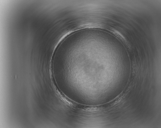 X0000063511182200602032035