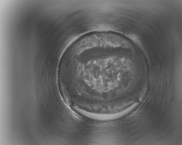 X0000063511183200602032035