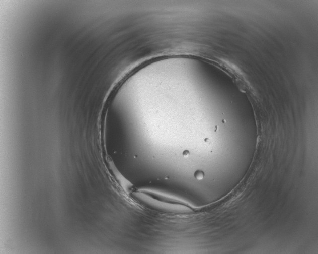 X0000063511184200602032035