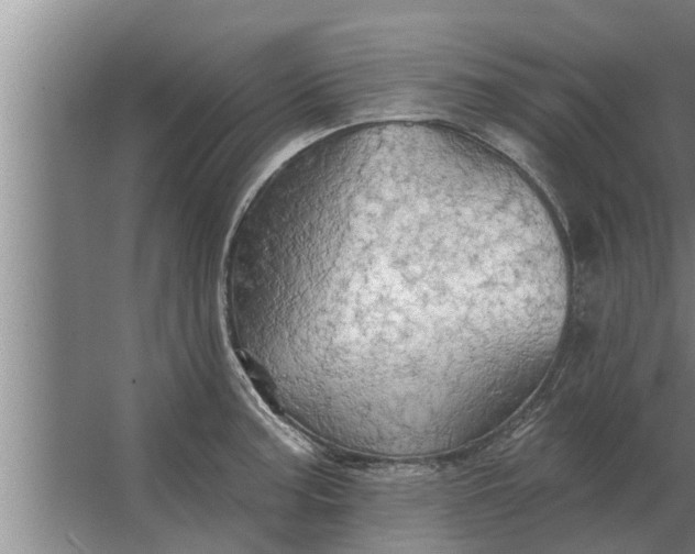 X0000063511187200602032035