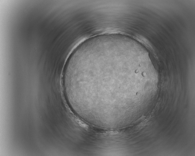 X0000063511190200602032035