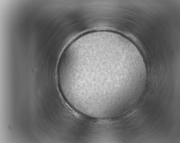 X0000063511191200602032035