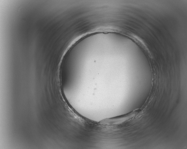 X0000063511192200602032035