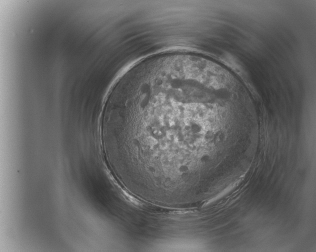 X0000063511199200602032035