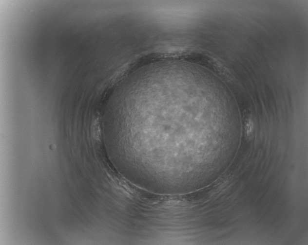 X0000063511204200602032034