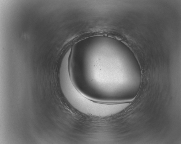 X0000063511206200602032034