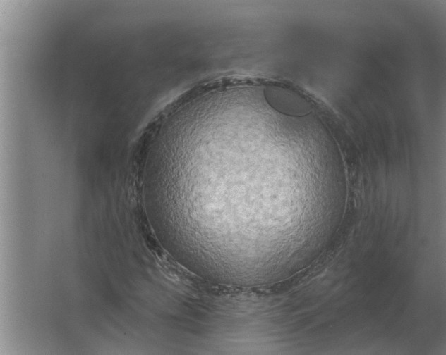 X0000063511207200602032034