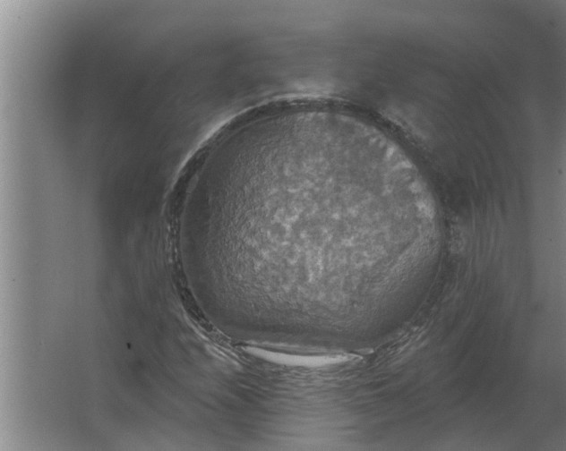 X0000063511208200602032034