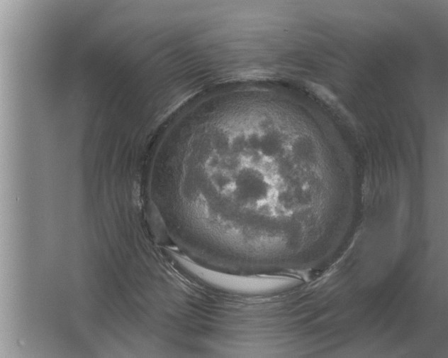 X0000063511209200602032034