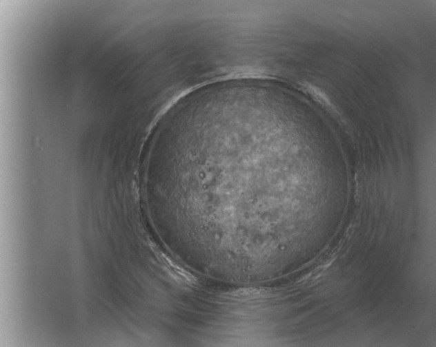 X0000063511212200602032034