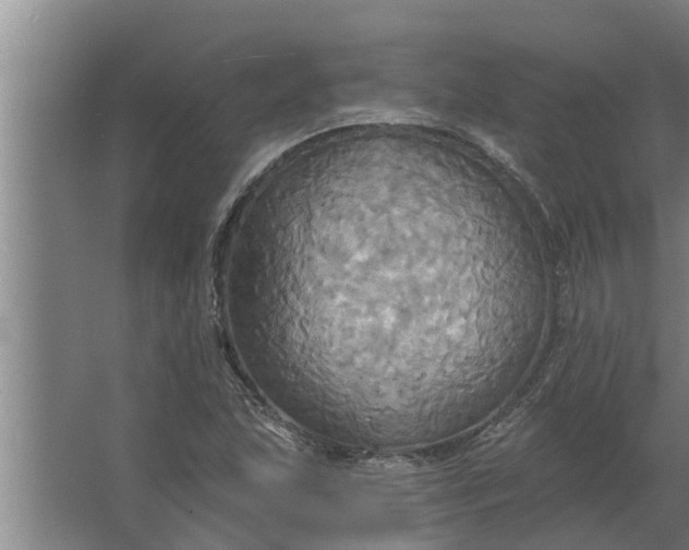 X0000063511215200602032035