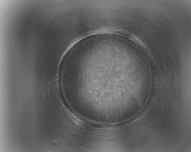 X0000063511216200602032035