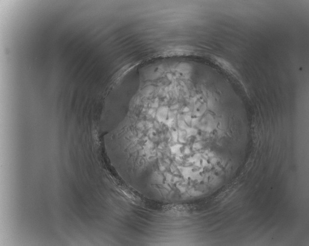 X0000063511217200602032035