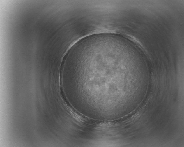 X0000063511220200602032035