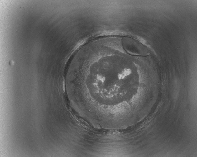 X0000063511221200602032035