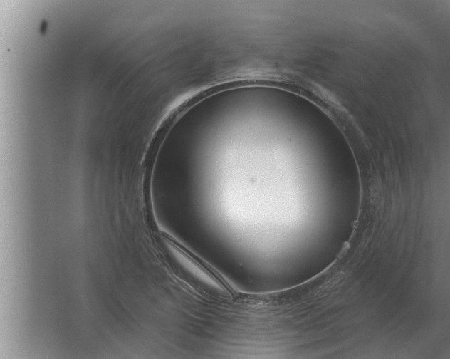 X0000063511222200602032035