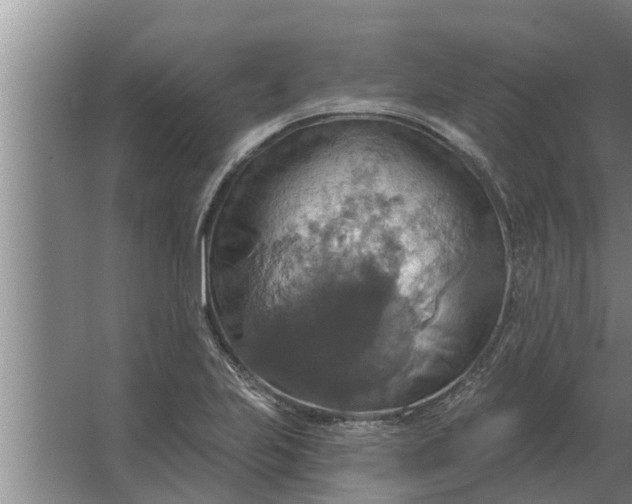 X0000063511223200602032035