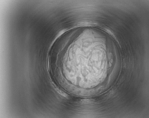 X0000063511227200602032035