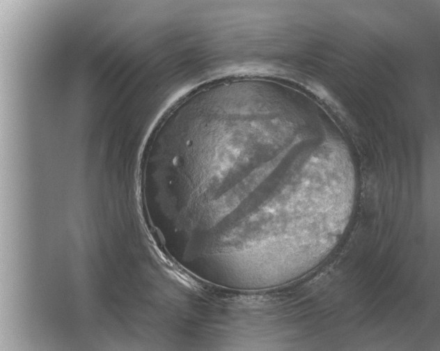 X0000063511232200602032035