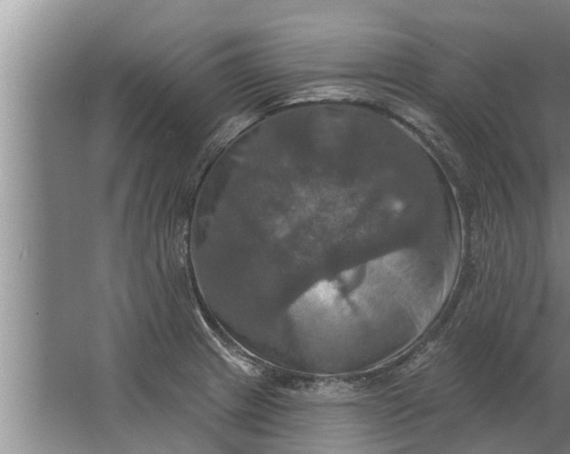 X0000063511233200602032035