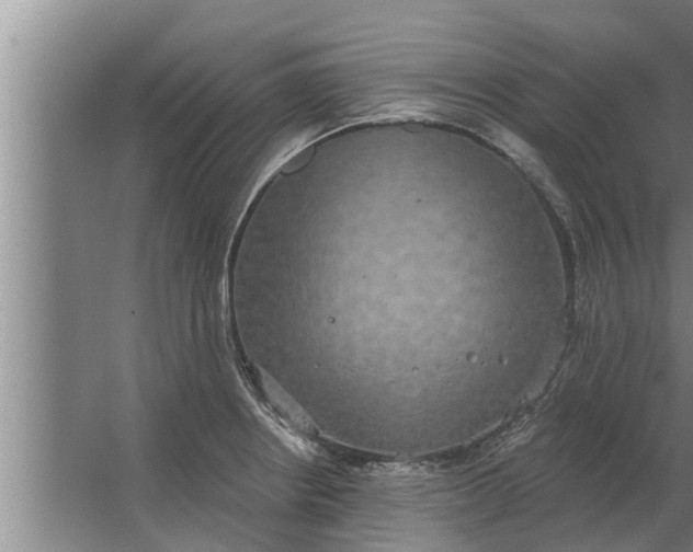 X0000063511234200602032035