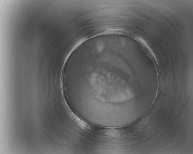 X0000063511235200602032035