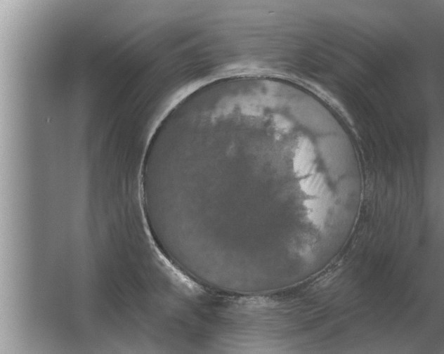 X0000063511239200602032035