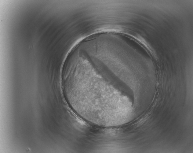 X0000063511240200602032035