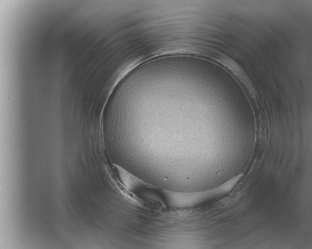 X0000063511242200602032035