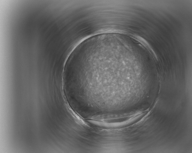 X0000063511244200602032035