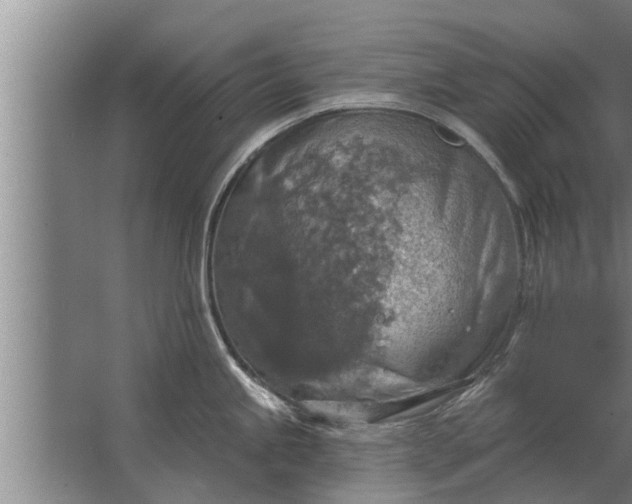 X0000063511245200602032035