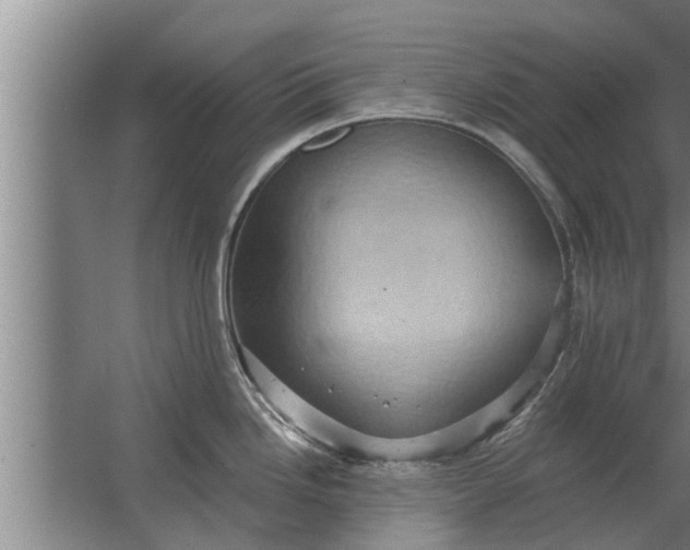 X0000063511246200602032035