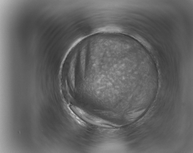 X0000063511248200602032035