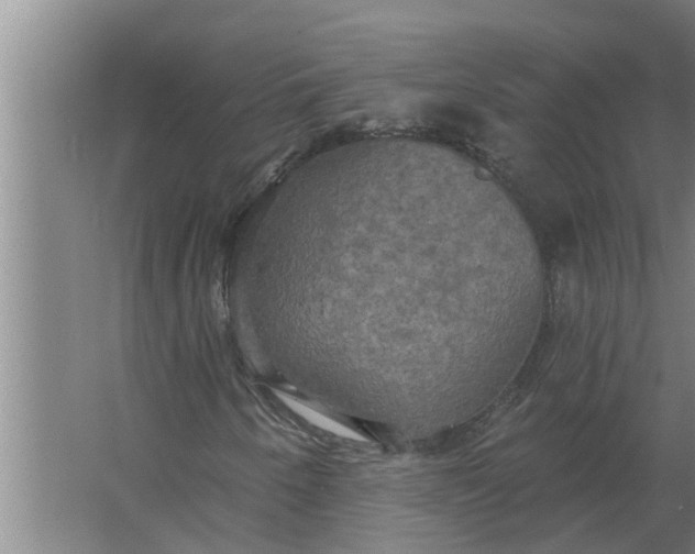 X0000063511250200602032034