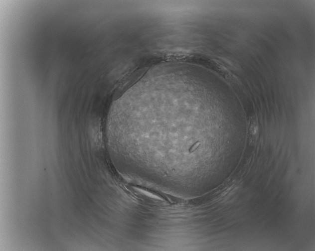 X0000063511252200602032034