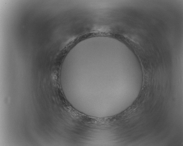 X0000063511254200602032034