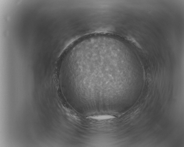 X0000063511256200602032034