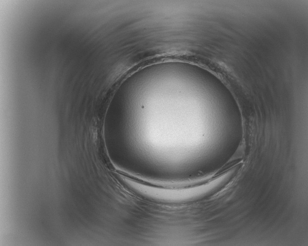 X0000063511257200602032034