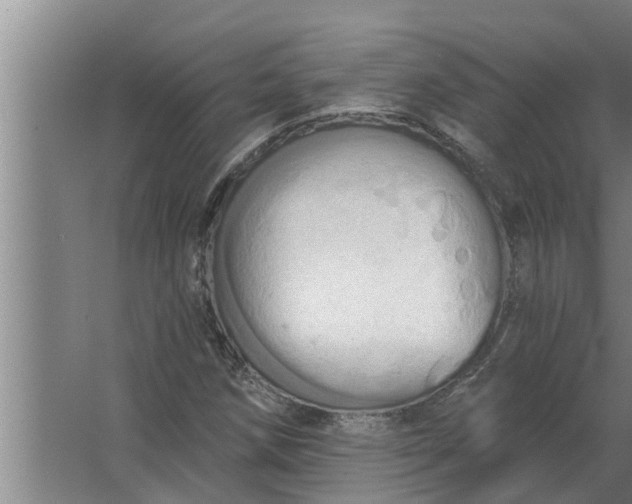 X0000063511258200602032034