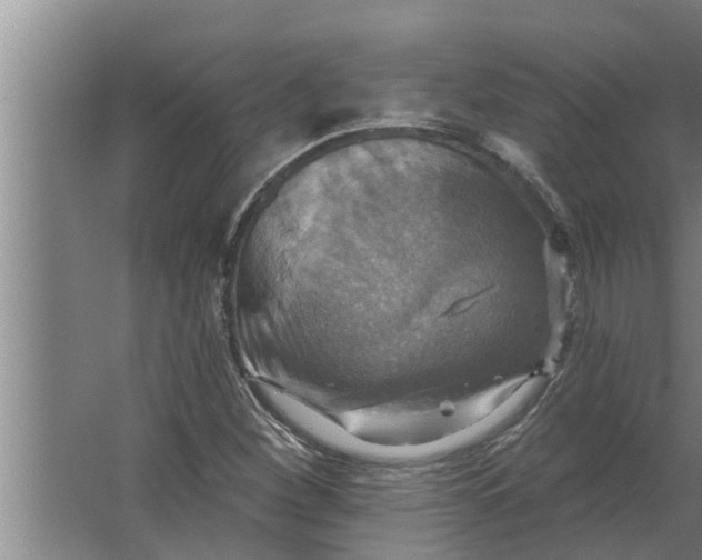 X0000063511260200602032034