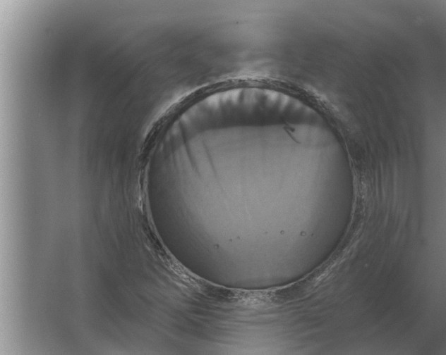 X0000063511262200602032034