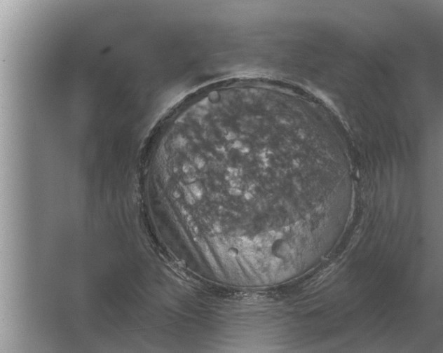 X0000063511263200602032034