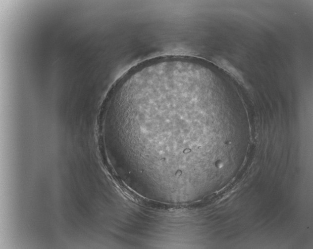 X0000063511264200602032034