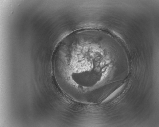 X0000063511267200602032034