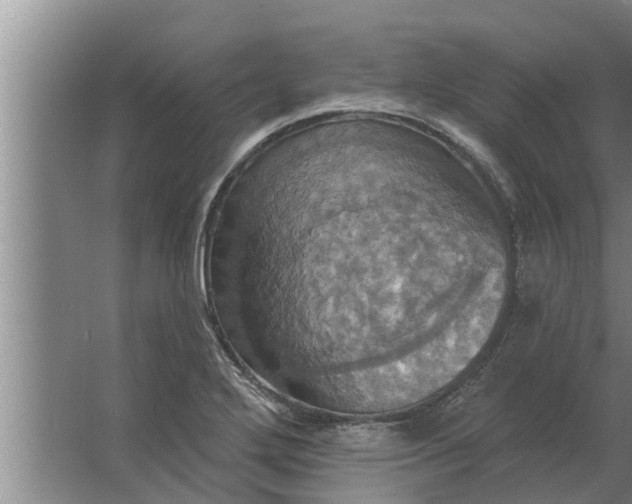 X0000063511272200602032034