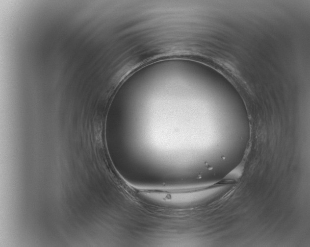 X0000063511273200602032034