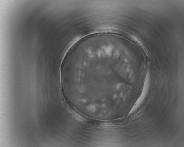 X0000063511275200602032034