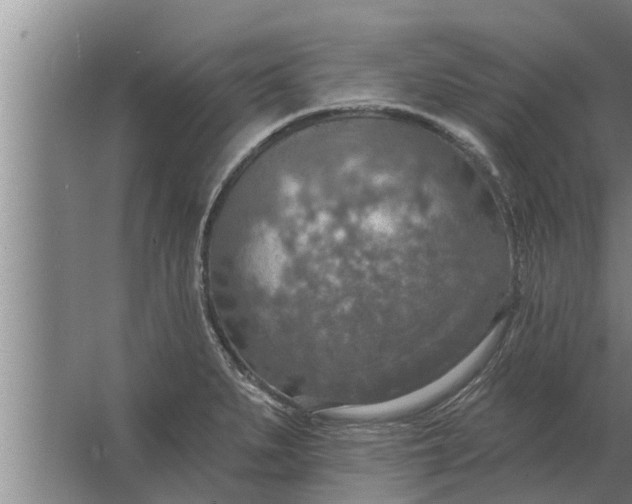 X0000063511279200602032034