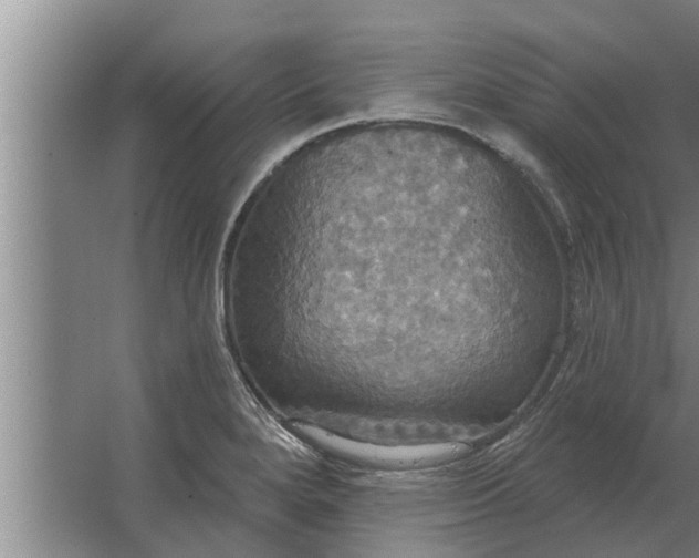 X0000063511280200602032034